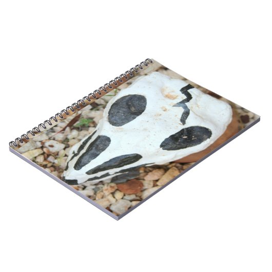 ディアデミュートス絵を描スカル ノートブック (左側)