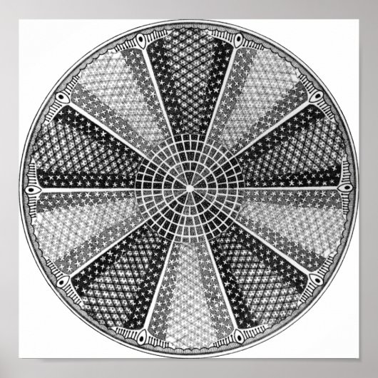 ディアトム13エルンストヘッケルファインアート ポスター (正面)