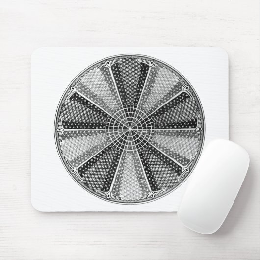 ディアトム13エルンストヘッケルファインアート マウスパッド (マウス)