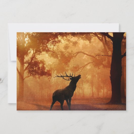 ディアハンター〔雄ジカの〕枝角ズ誕生日 招待状 (正面)