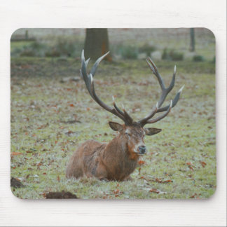 ディアバックマウスパッド マウスパッド