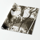 ディアバックラッピング紙 ラッピングペーパー (アンロールド)