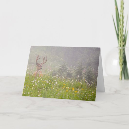 ディアバック |山ライニエ国立公園 カード (正面)