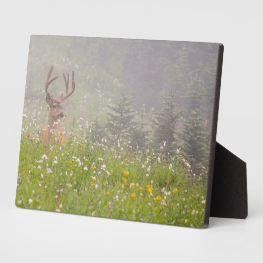 ディアバック |山ライニエ国立公園 フォトプラーク (側面)