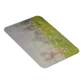 ディアバック |山ライニエ国立公園 マグネット (右側)