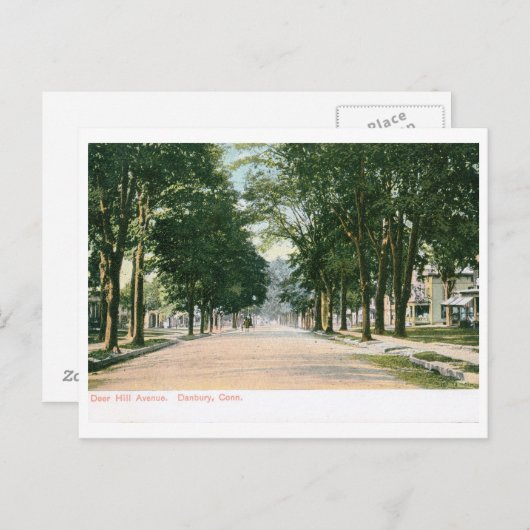 ディアヒルアーブダンベリーCTヴィンテージ ポストカード (正面/裏面)
