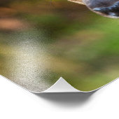 ディアファウンポートレート フォトプリント            (角)