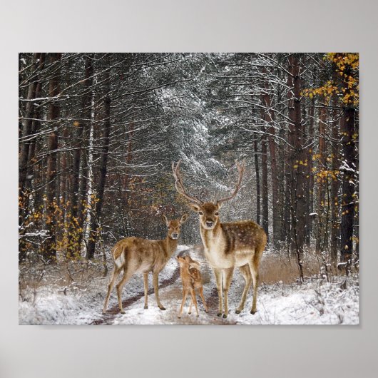 ディアファミリーウォーターカラーデクページプリント ポスター (正面)