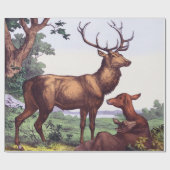 ディアファミリーヴィンテージ誕生日 ラッピングペーパー (フラット)