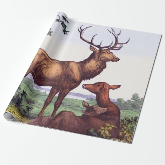 ディアファミリーヴィンテージ誕生日 ラッピングペーパー (アンロールド)