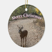 ディアフォトオーナメント セラミックオーナメント (左)