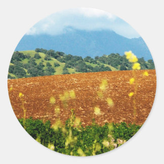 ディアブロ山 ラウンドシール