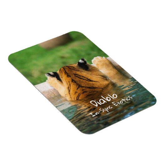 ディアブロ –  マグネット (右側)