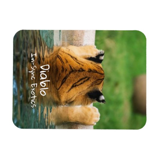 ディアブロ –  マグネット (横)