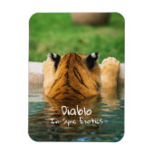 ディアブロ –  マグネット (縦)