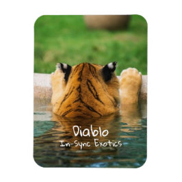 ディアブロ –  マグネット