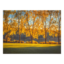 ディアレイクイン秋 フォトプリント           