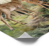 ディアレッドウッドフォレストウォーター色 ポスター (角)