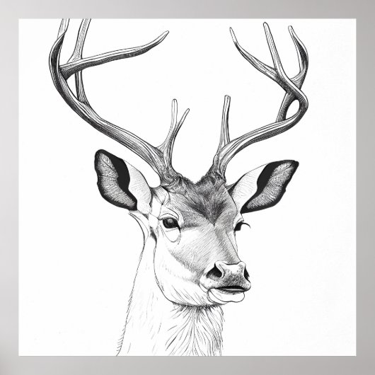 ディアワイルド自然動物イラストレーションアートスケッチ ポスター (正面)