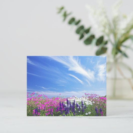 ディアンサスとサルビアの花 ポストカード (スタンド正面)