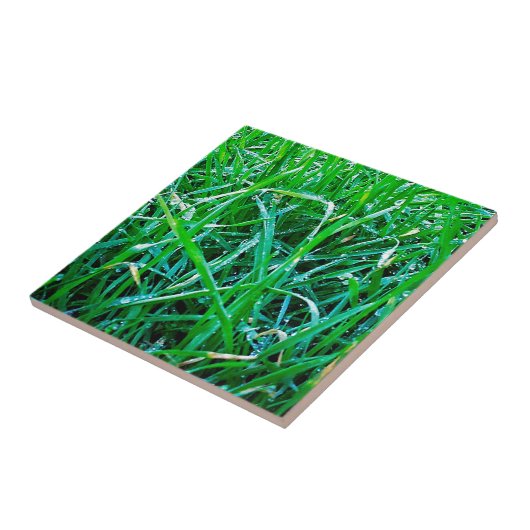 ディウィー・グラス タイル (側面)