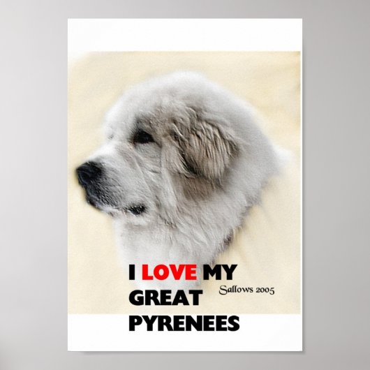 ディエゴ ポスター (正面)