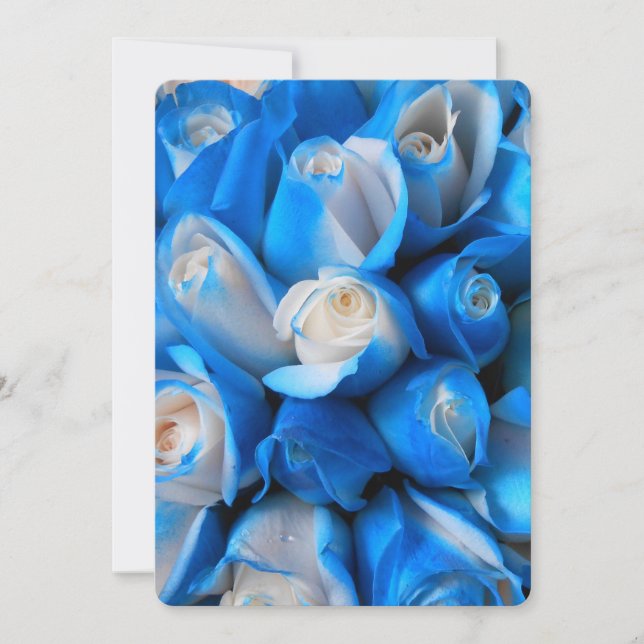 ディエムディス (正面)