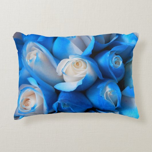 ディエムディス アクセントクッション (正面)