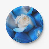 ディエムディス ペーパープレート (正面)