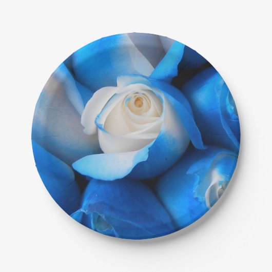 ディエムディス ペーパープレート (正面)