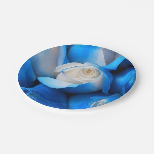 ディエムディス ペーパープレート (アングル)