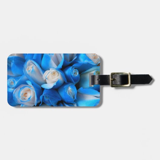 ディエムディス ラゲッジタグ (正面横)