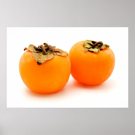 ディオスピロスカキ ポスター (正面)