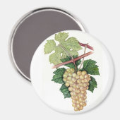 ディオニュソス&レアコレクション マグネット (正面/裏面)