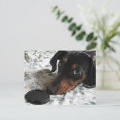 ディガーがポーズをとる ポストカード (スタンド正面)