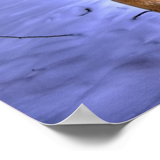 ディガー ポスター (角)