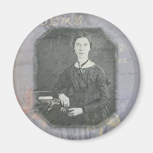 ディキンソン再混合磁石 マグネット (正面)