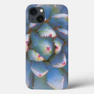 ディクシー国有林ユタ。ユッカのクローズアップ iPhone 13ケース
