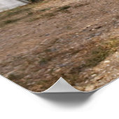 ディクソン、ニューメキシコ、統一された州。ビンテージ車 ポスター (角)