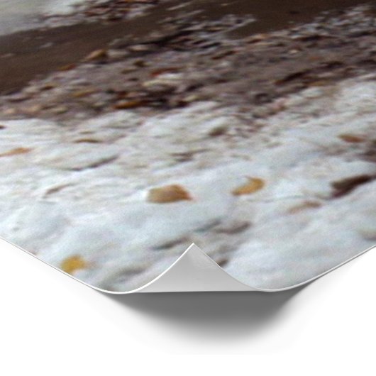 ディグビー！ ポスター (角)