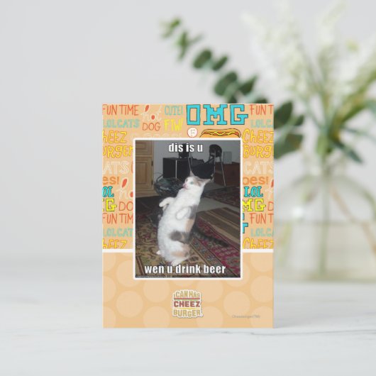 ディスはu ポストカード (スタンド正面)