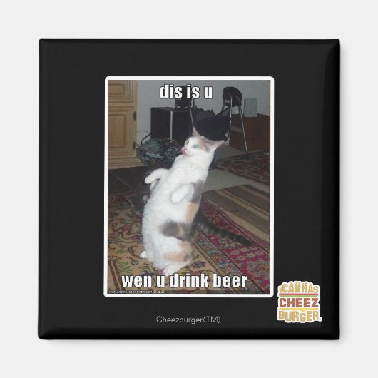 ディスはu マグネット (正面)