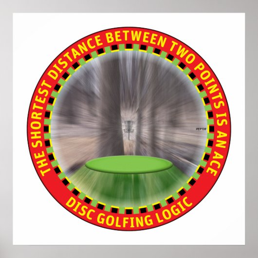 ディスクゴルフロジック#1 ポスター (正面)