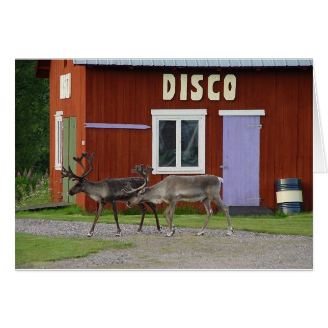 ディスコのシカ (正面横)