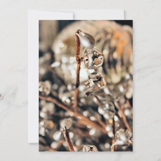 ディスコクリスマス 招待状 (正面)