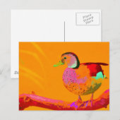 ディスコダック ポストカード (正面/裏面)