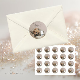 ディスコボール | 花 |美的 ラウンドシール