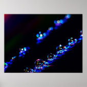 ディスコ滴 ポスター (正面)