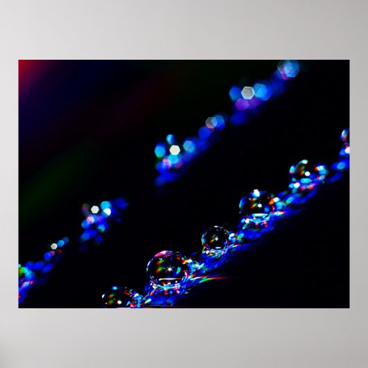 ディスコ滴 ポスター (正面)