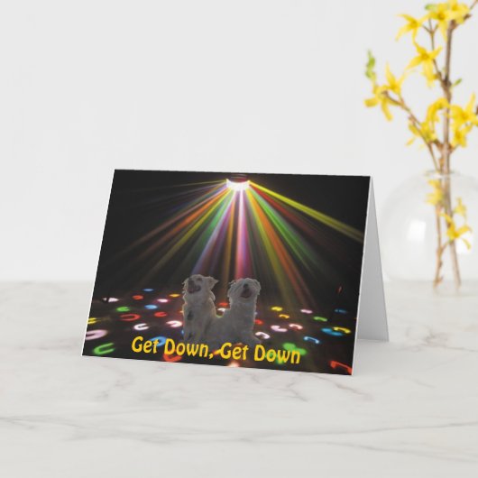 ディスコ犬 カード (黄色い花)